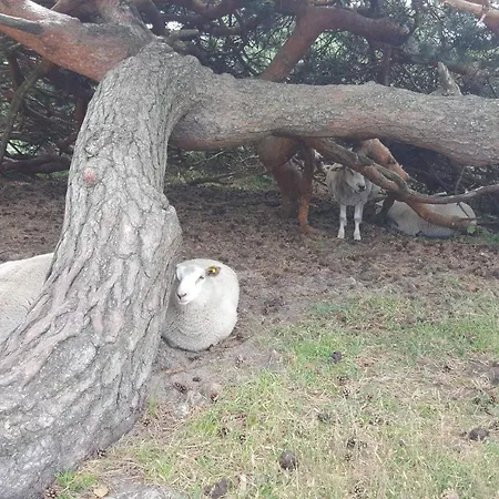 Σπίτι διακοπών 5 Person In Vejby-by Traum