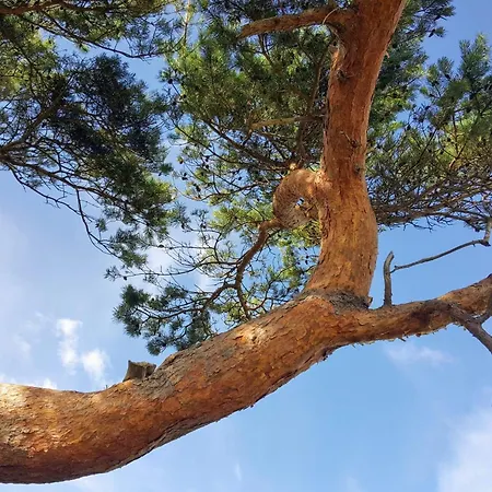 Σπίτι διακοπών 5 Person In Vejby-by Traum *