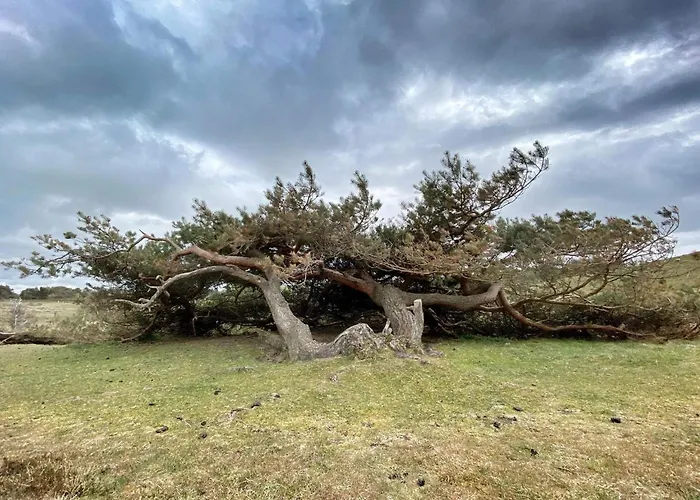 5 Person In Vejby-by Traum *