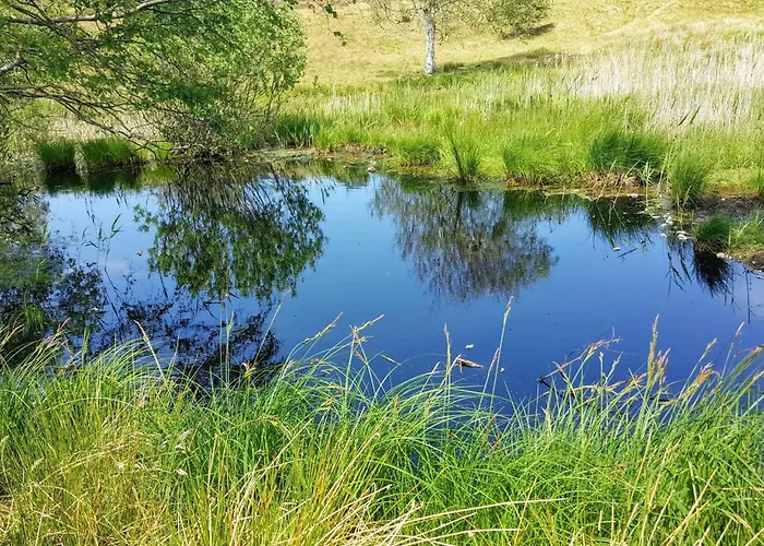 5 Person In Vejby-by Traum